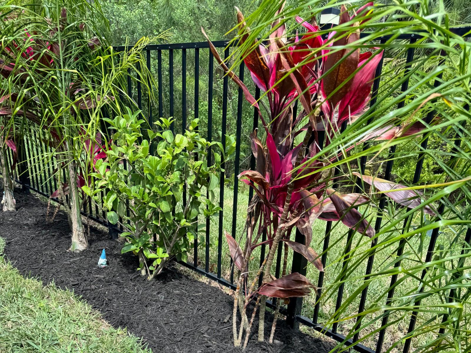 Image 47 of 50 For 20 Spring Street