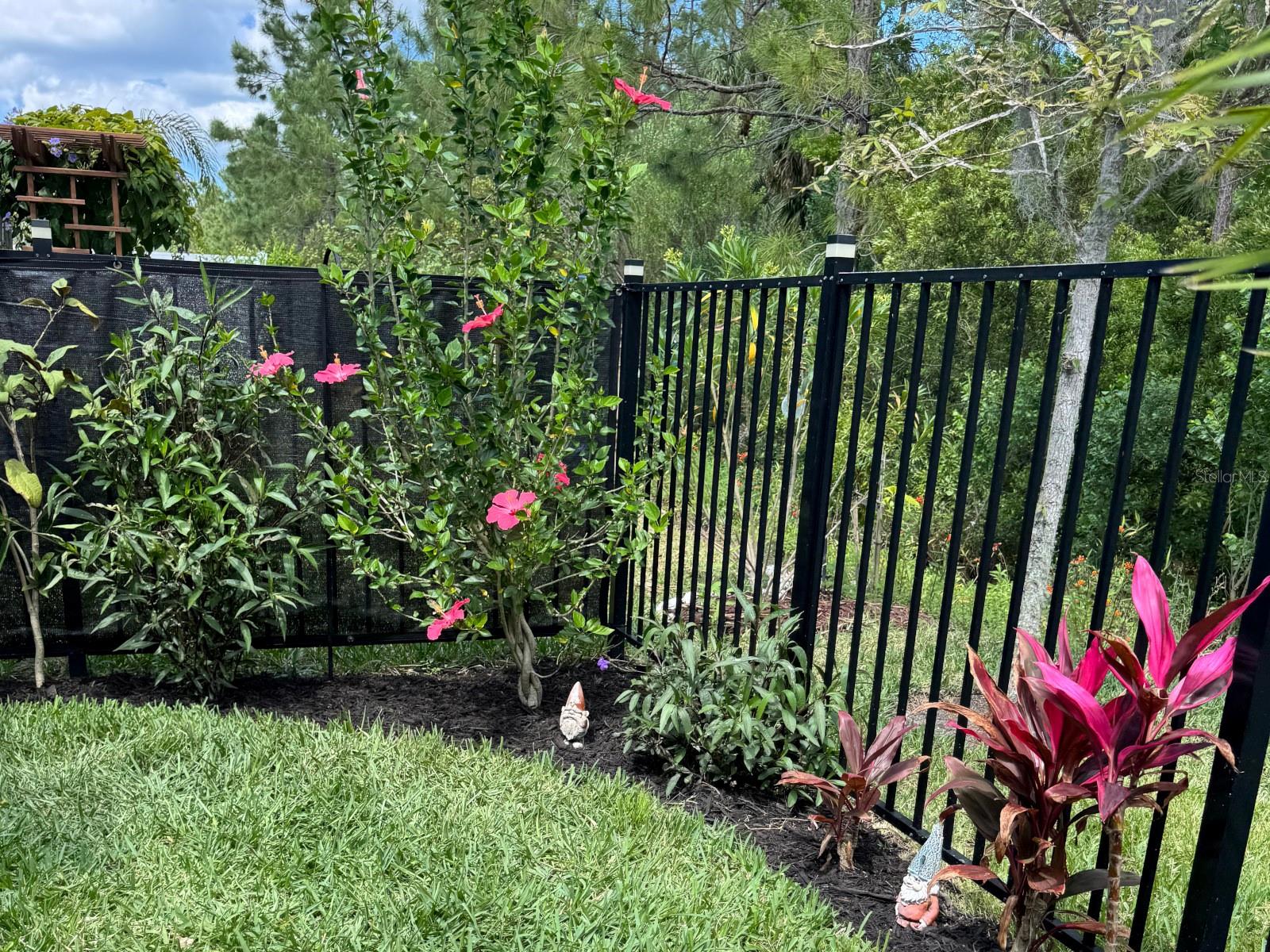 Image 49 of 50 For 20 Spring Street