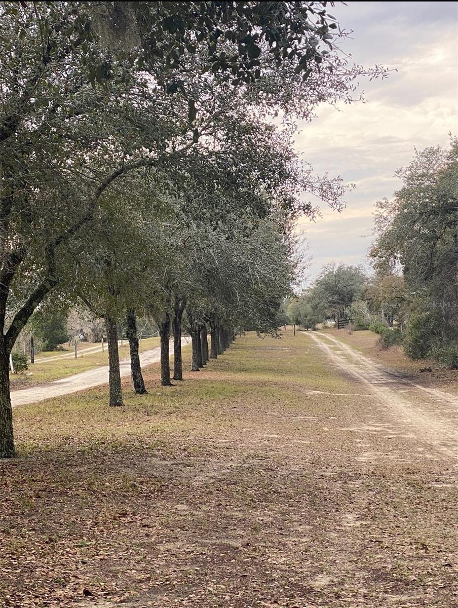 Details for 17171 17th Circle, OCALA, FL 34473