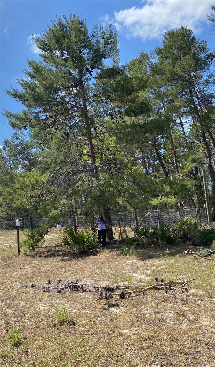 Image 9 of 14 For 17171 17th Circle