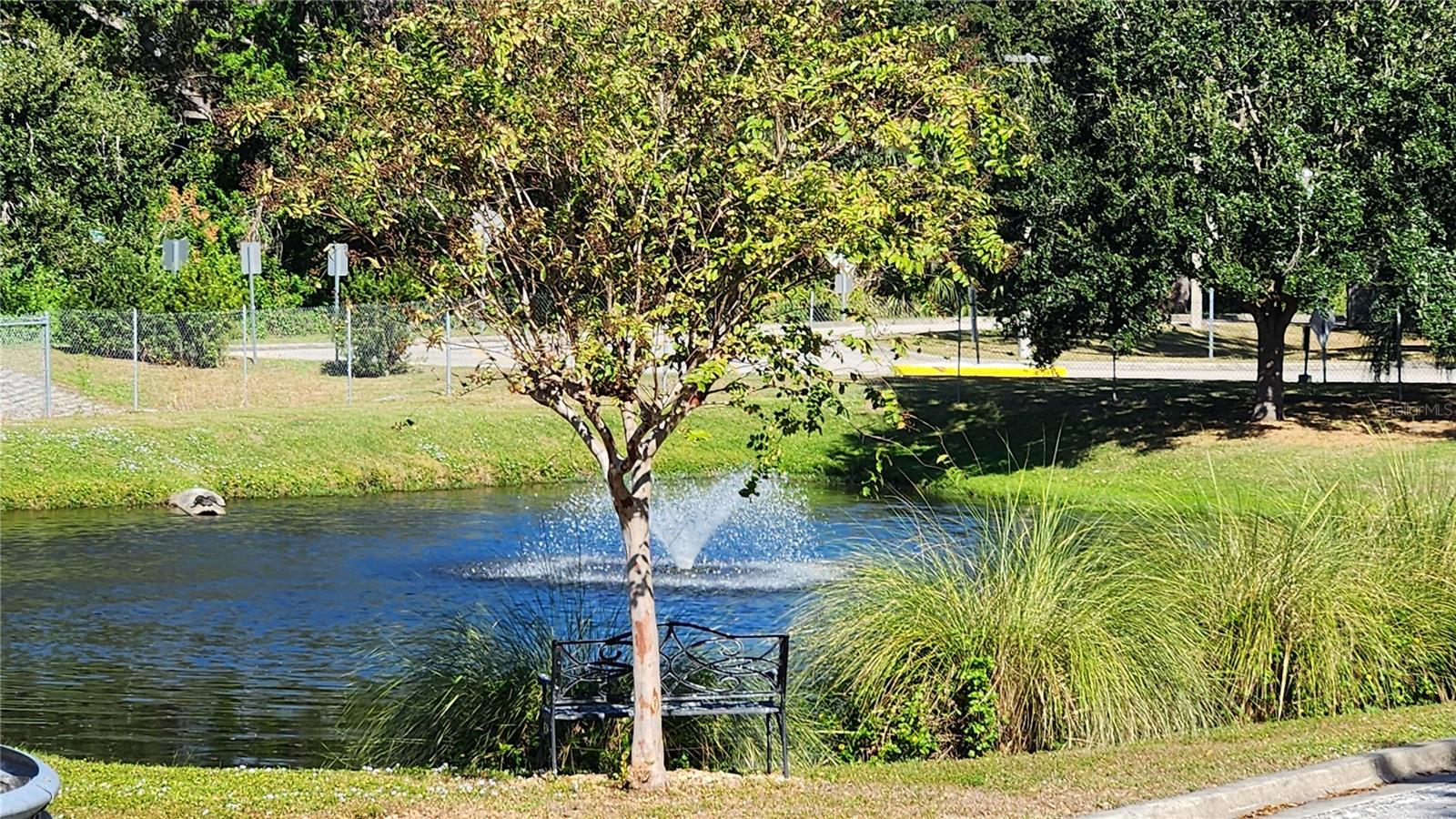 Image 8 of 39 For 3210 Ash Terrace