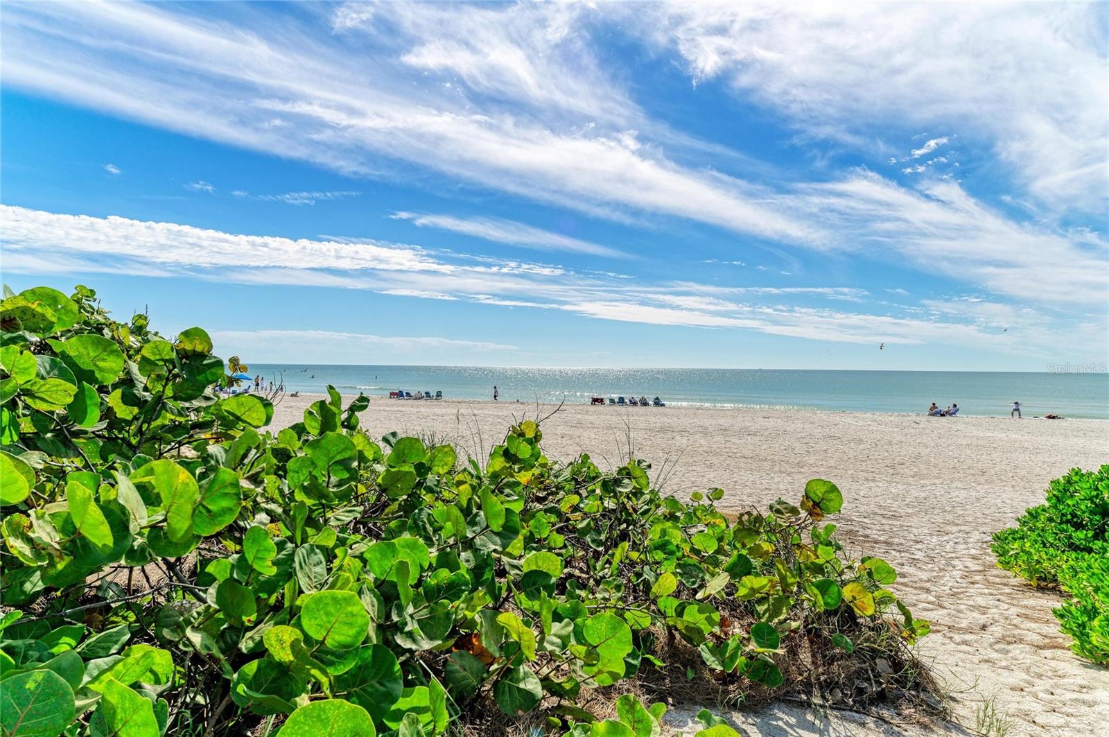 Image 42 of 55 For 101 73rd Street 2