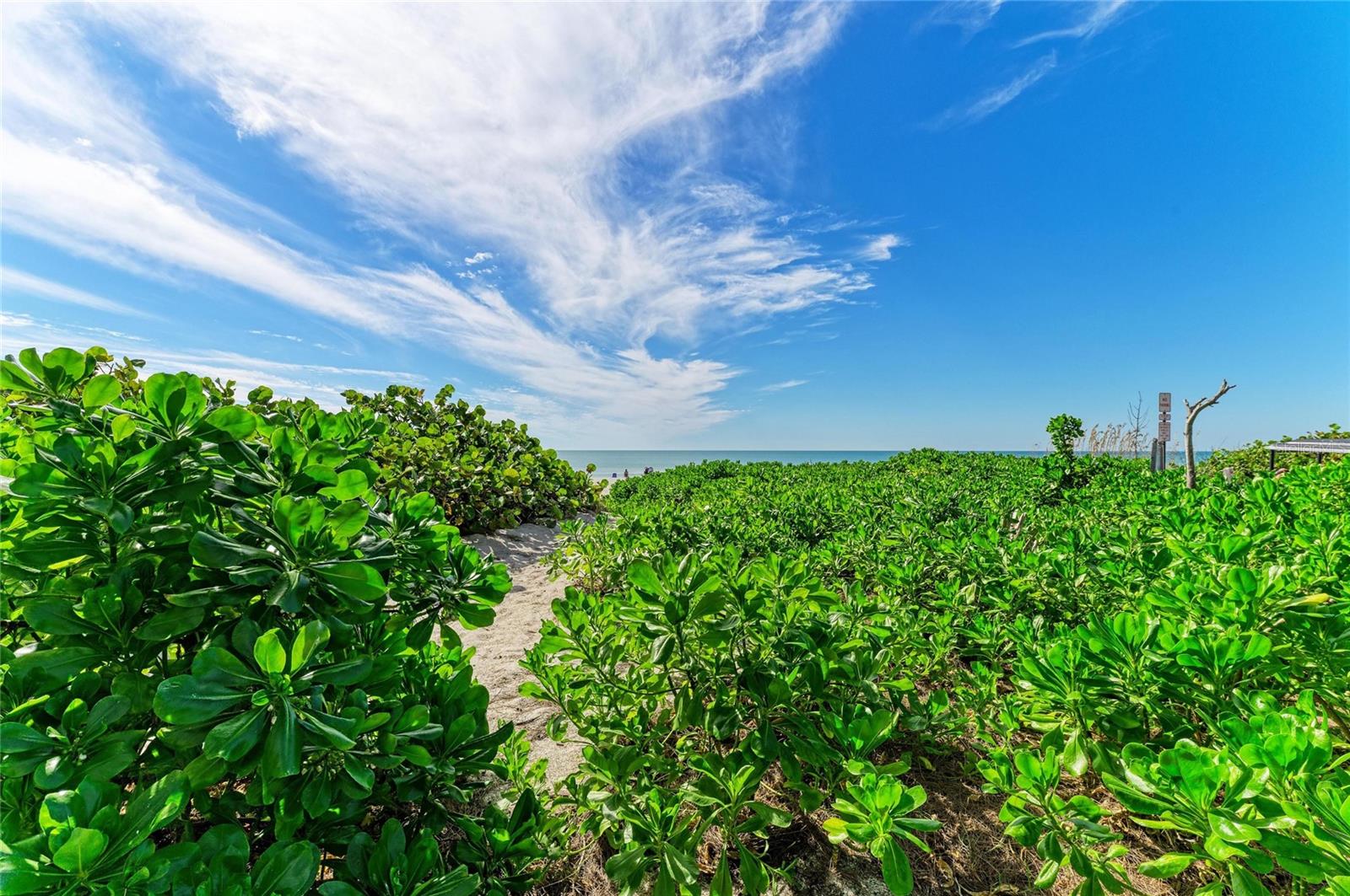 Image 41 of 54 For 101 73rd Street 3