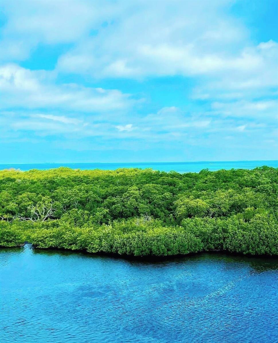 Image 59 of 63 For 2408 89th Street Nw