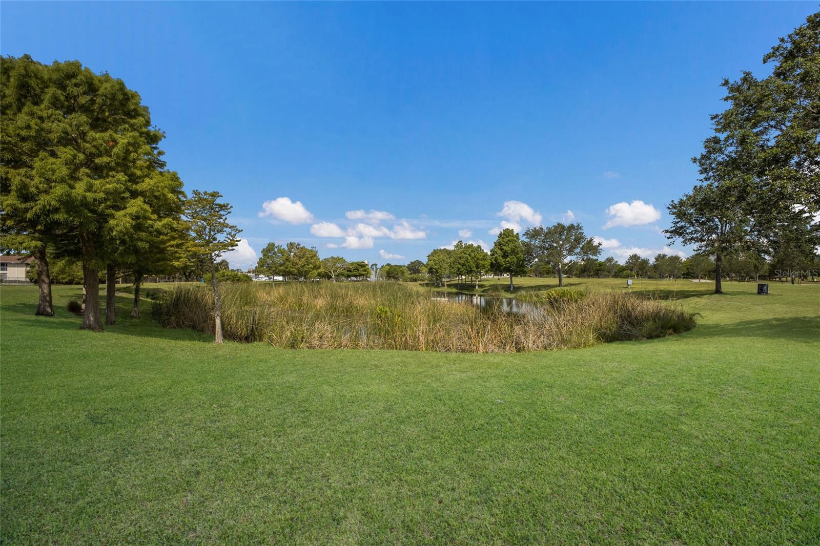 Image 33 of 39 For 389 Gowdy Road