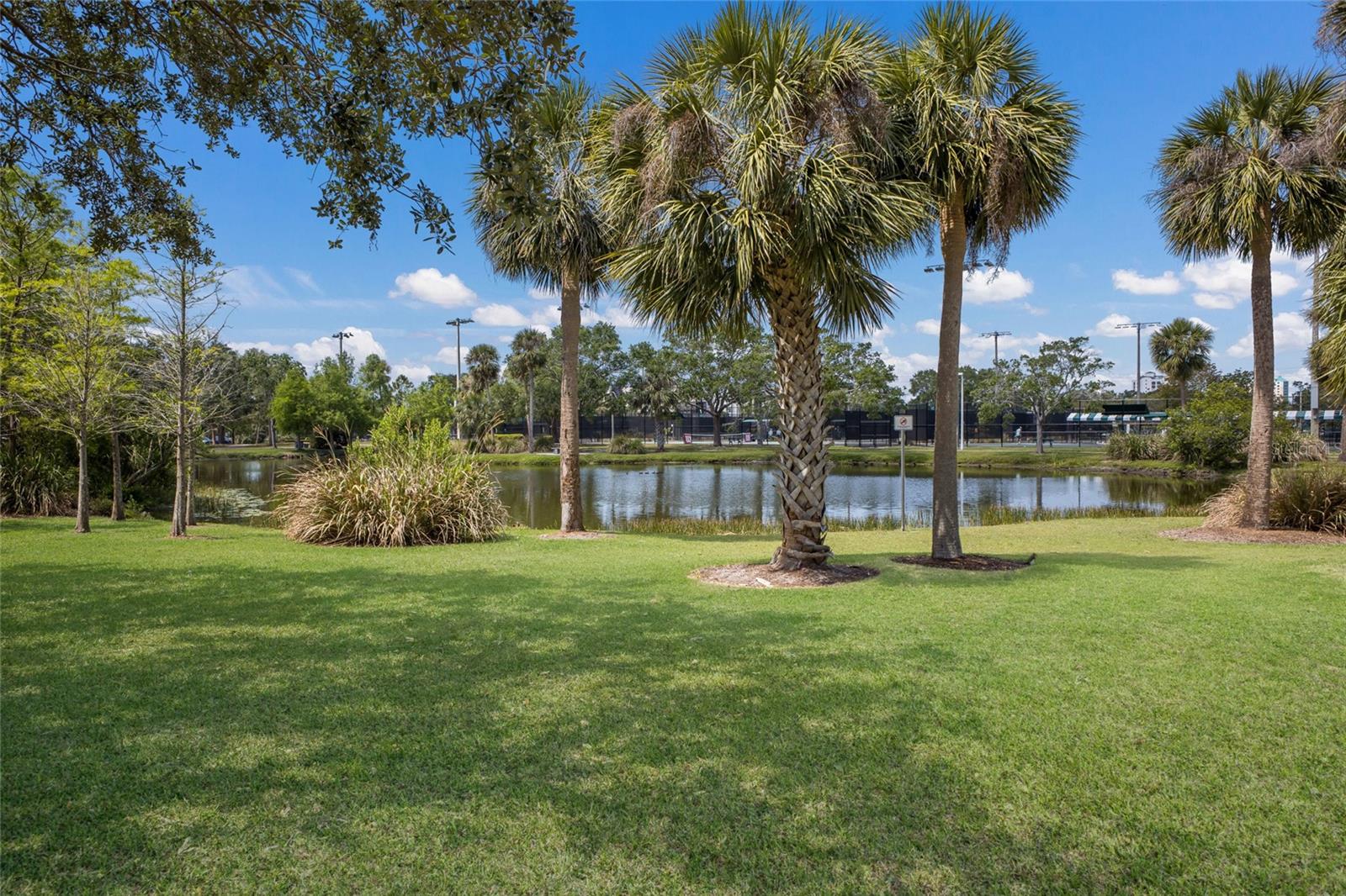 Image 36 of 39 For 389 Gowdy Road