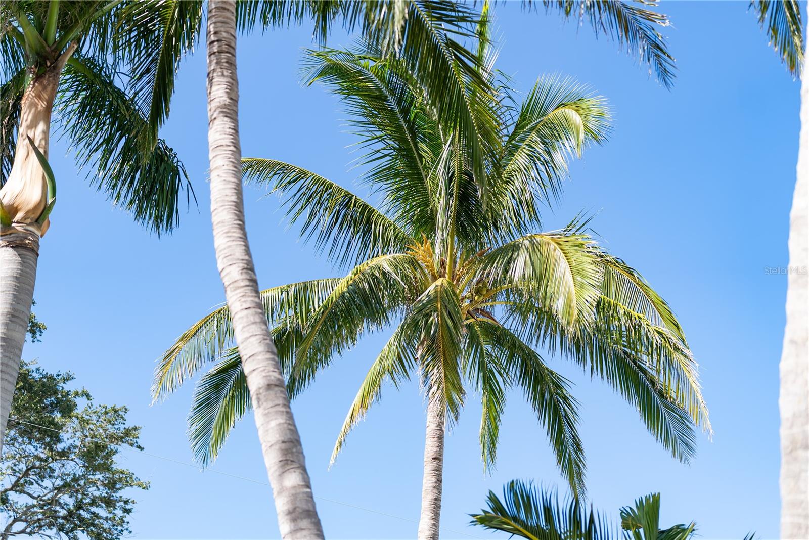 Image 6 of 75 For 1710 Point Pleasant Avenue W