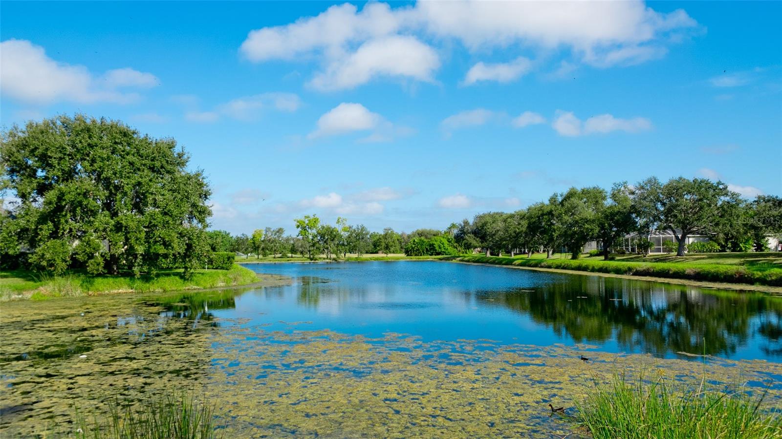 Image 47 of 52 For 5414 52nd Avenue W