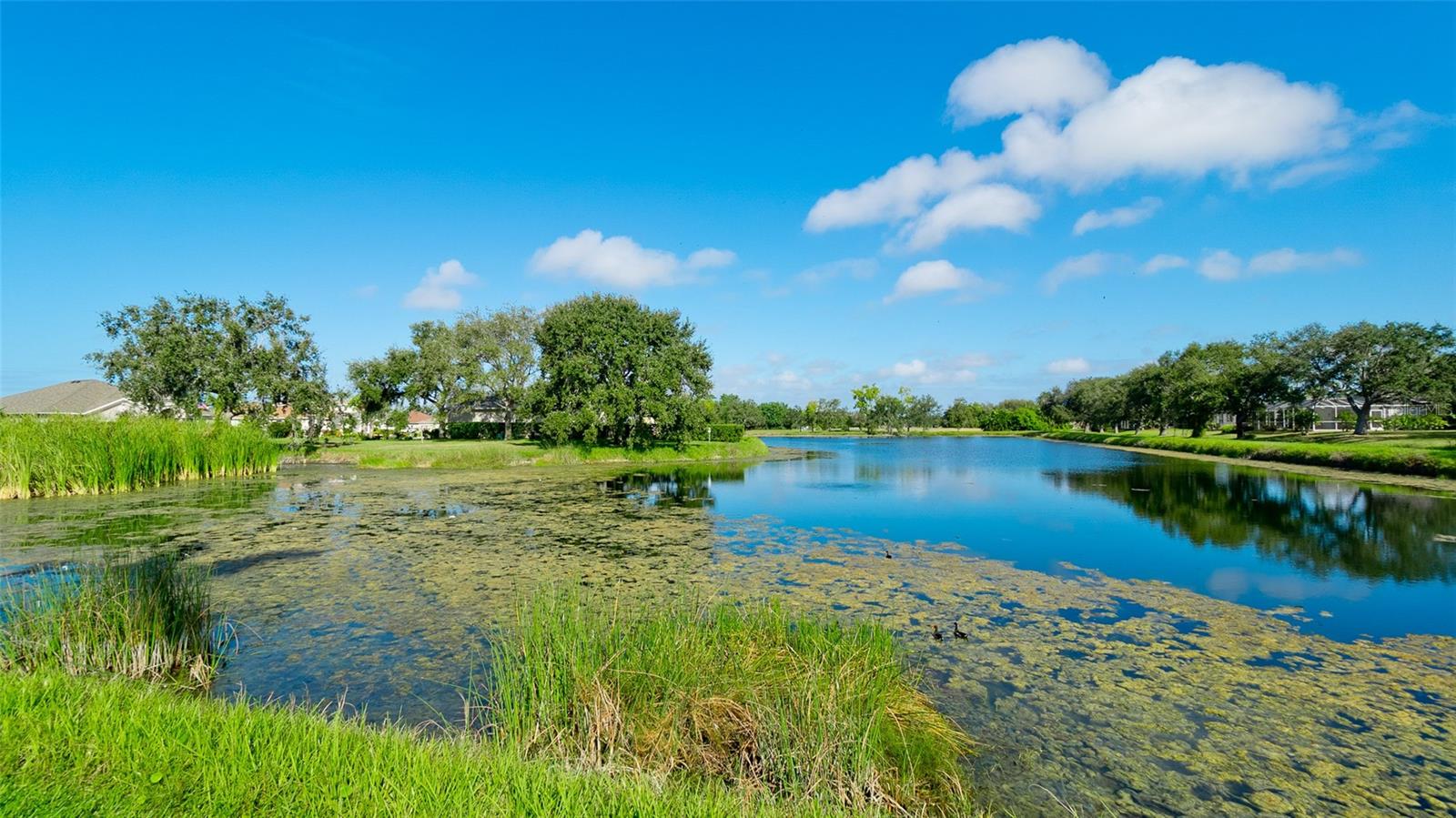 Image 48 of 52 For 5414 52nd Avenue W