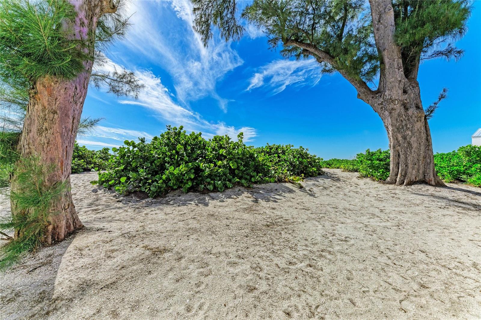 Image 40 of 56 For 101 73rd Street 6