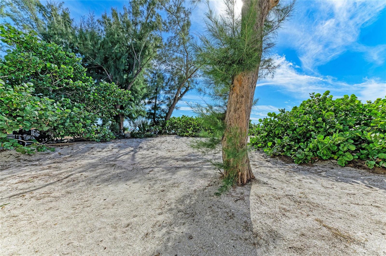 Image 41 of 56 For 101 73rd Street 6