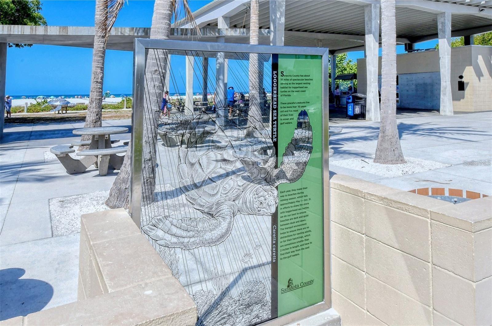 Image 41 of 49 For 6841 Roxbury Drive