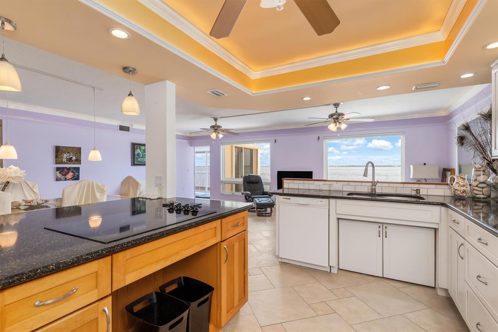 Image 17 of 62 For 1 Colony Point Drive A8