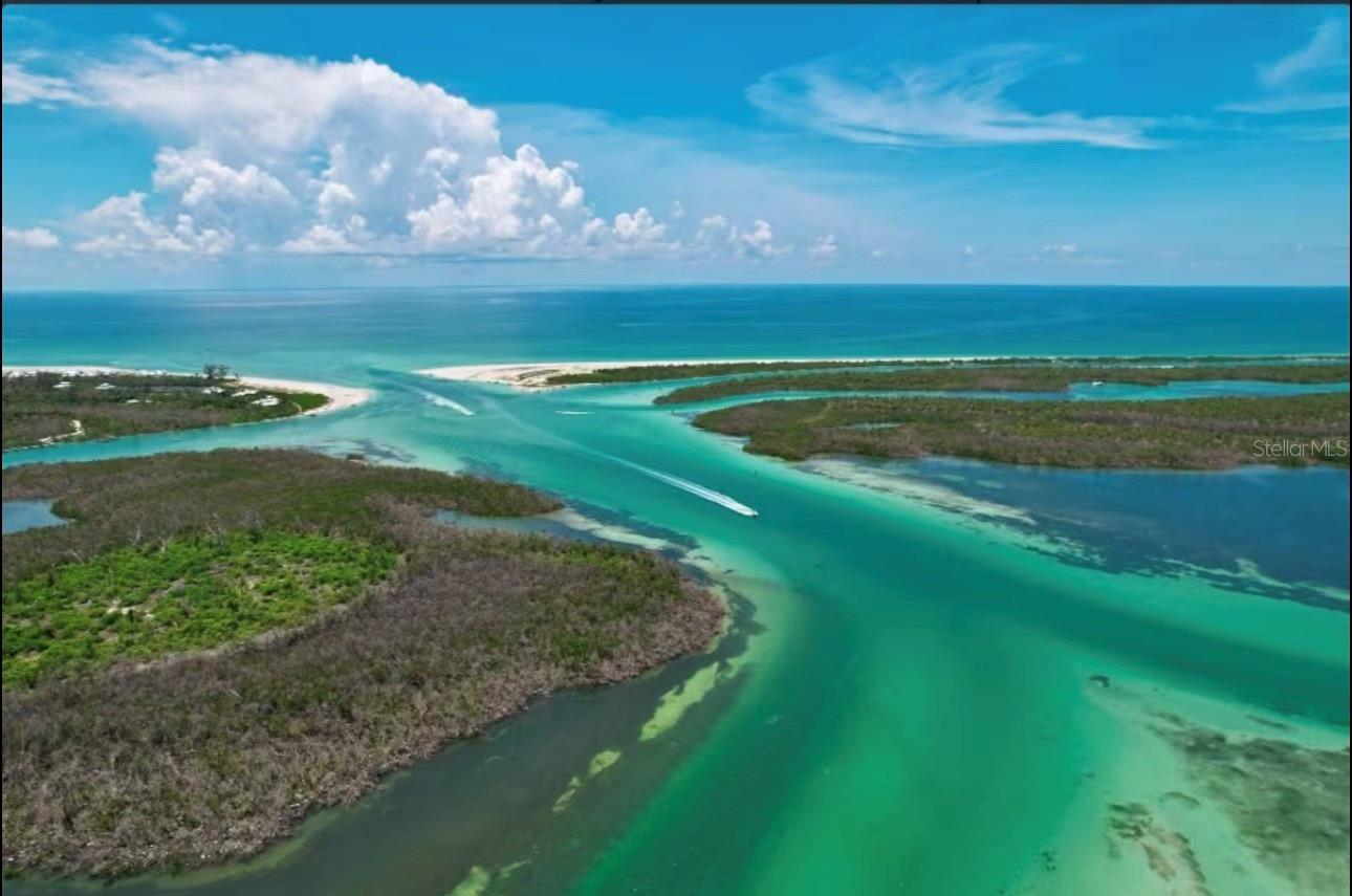 Image 47 of 50 For 3130 Bourbon