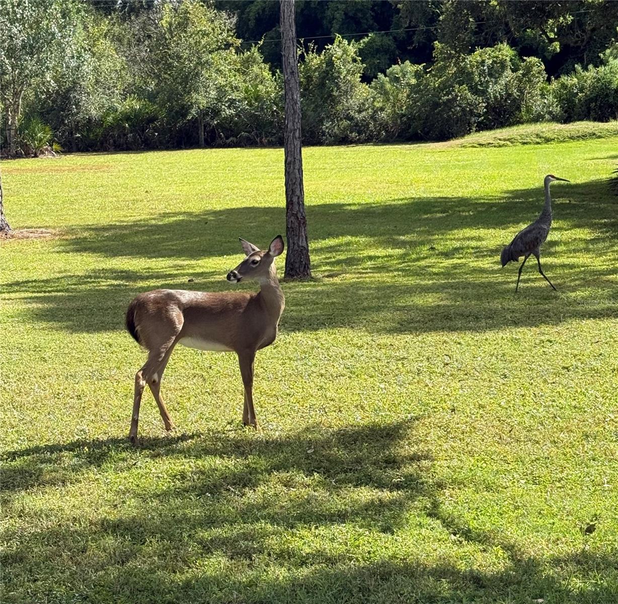 Image 57 of 58 For 1408 Oak Hammock Road