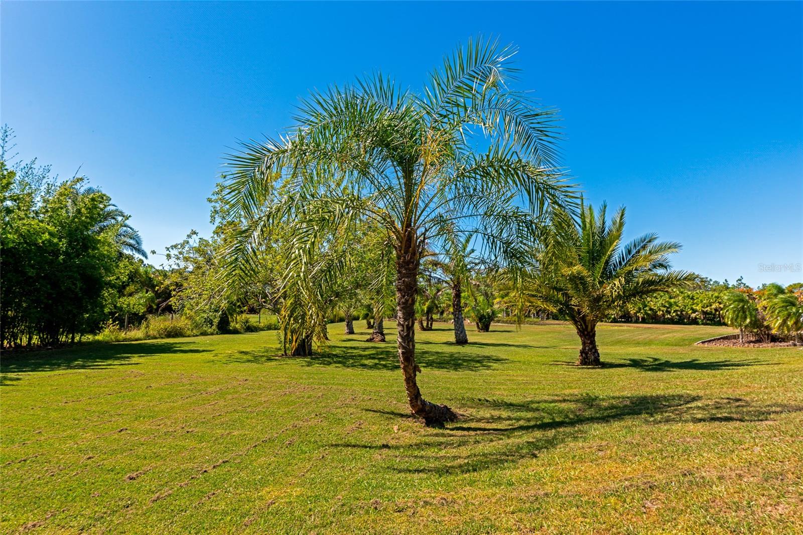 Image 53 of 64 For 6921 245th Street E