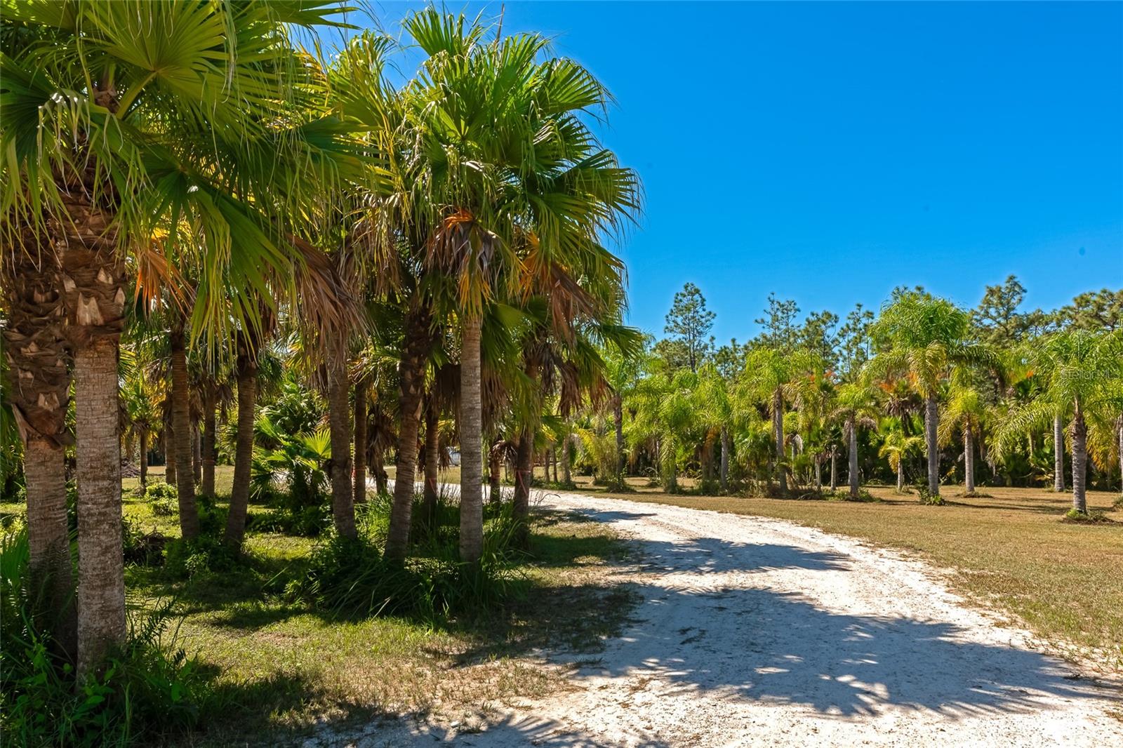 Image 59 of 64 For 6921 245th Street E