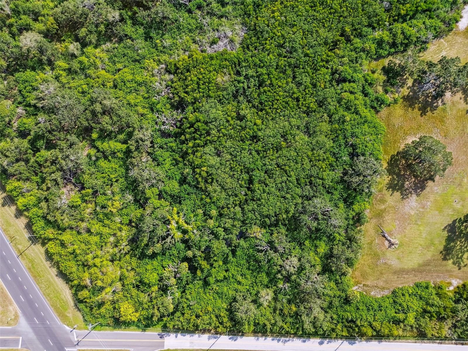 Image 20 of 21 For 575 Terra Ceia Road