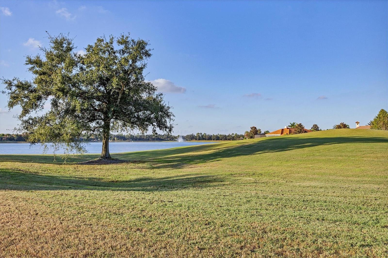 Image 41 of 56 For 14519 Leopard Creek Place