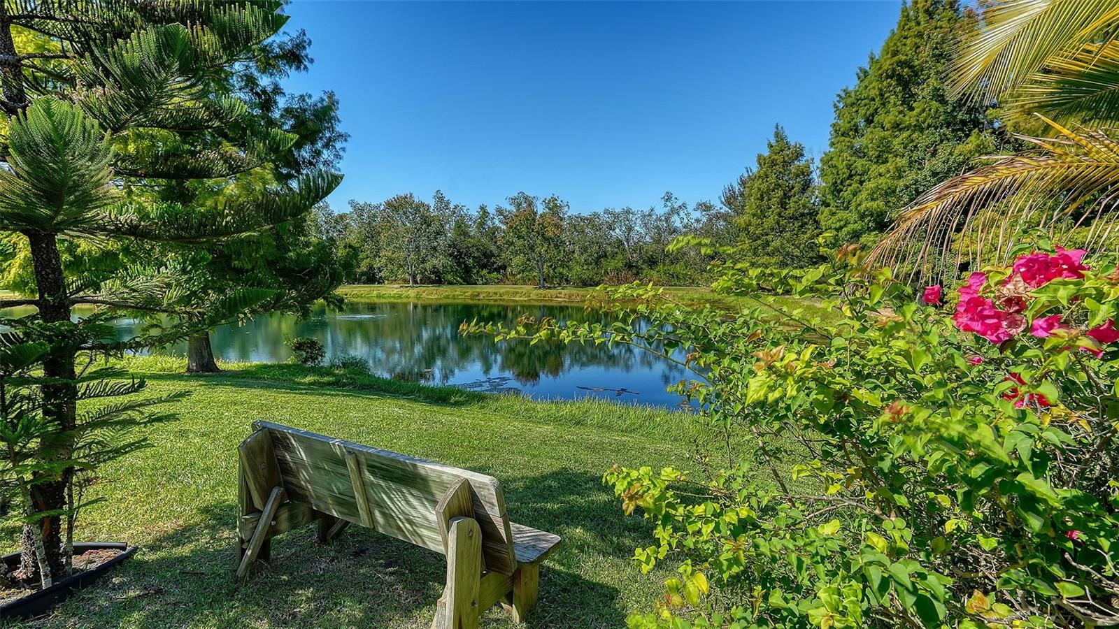 Image 36 of 71 For 8057 Rio Bella Place