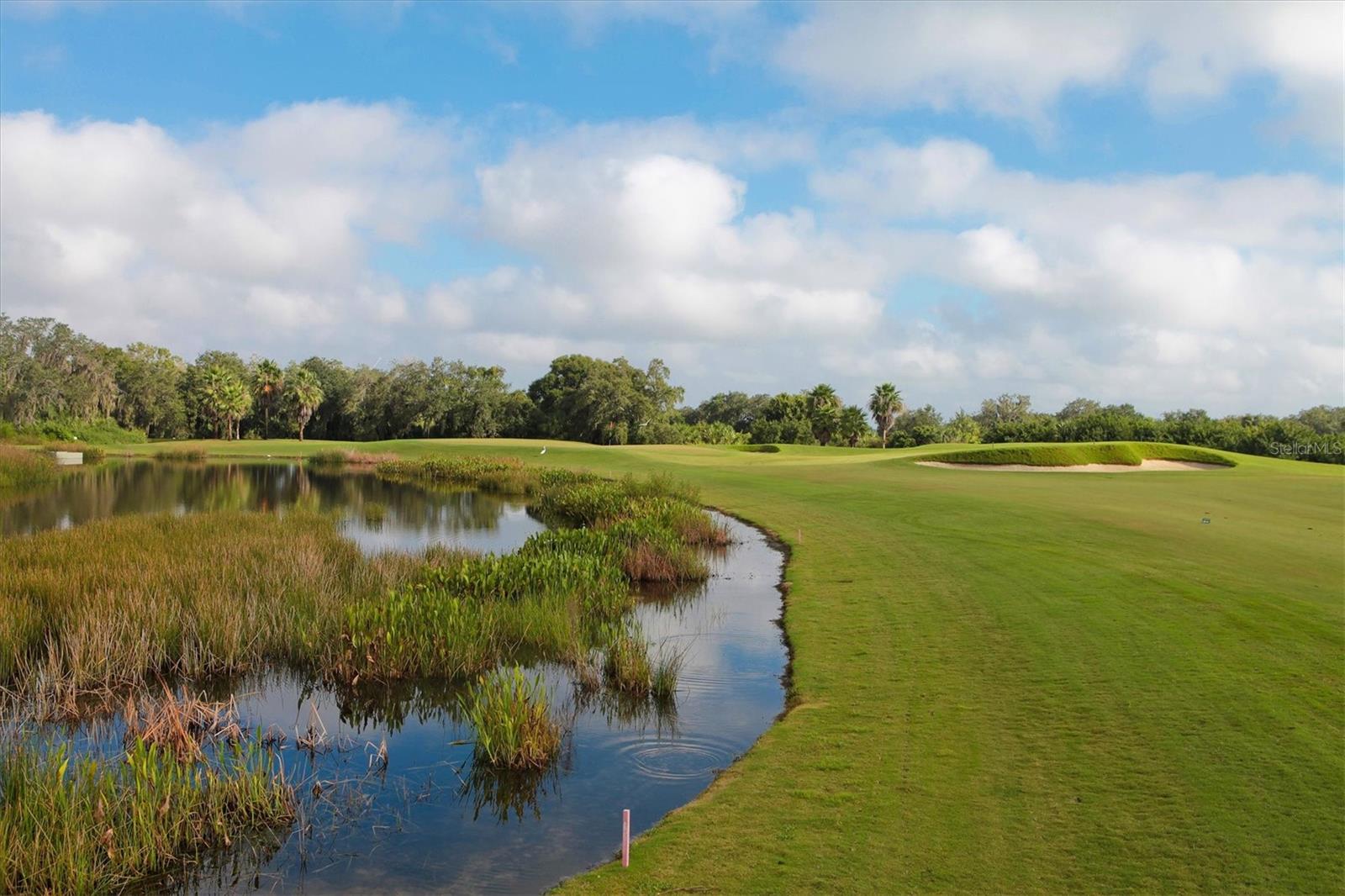 Image 33 of 47 For 9014 Beacon Manor Terrace