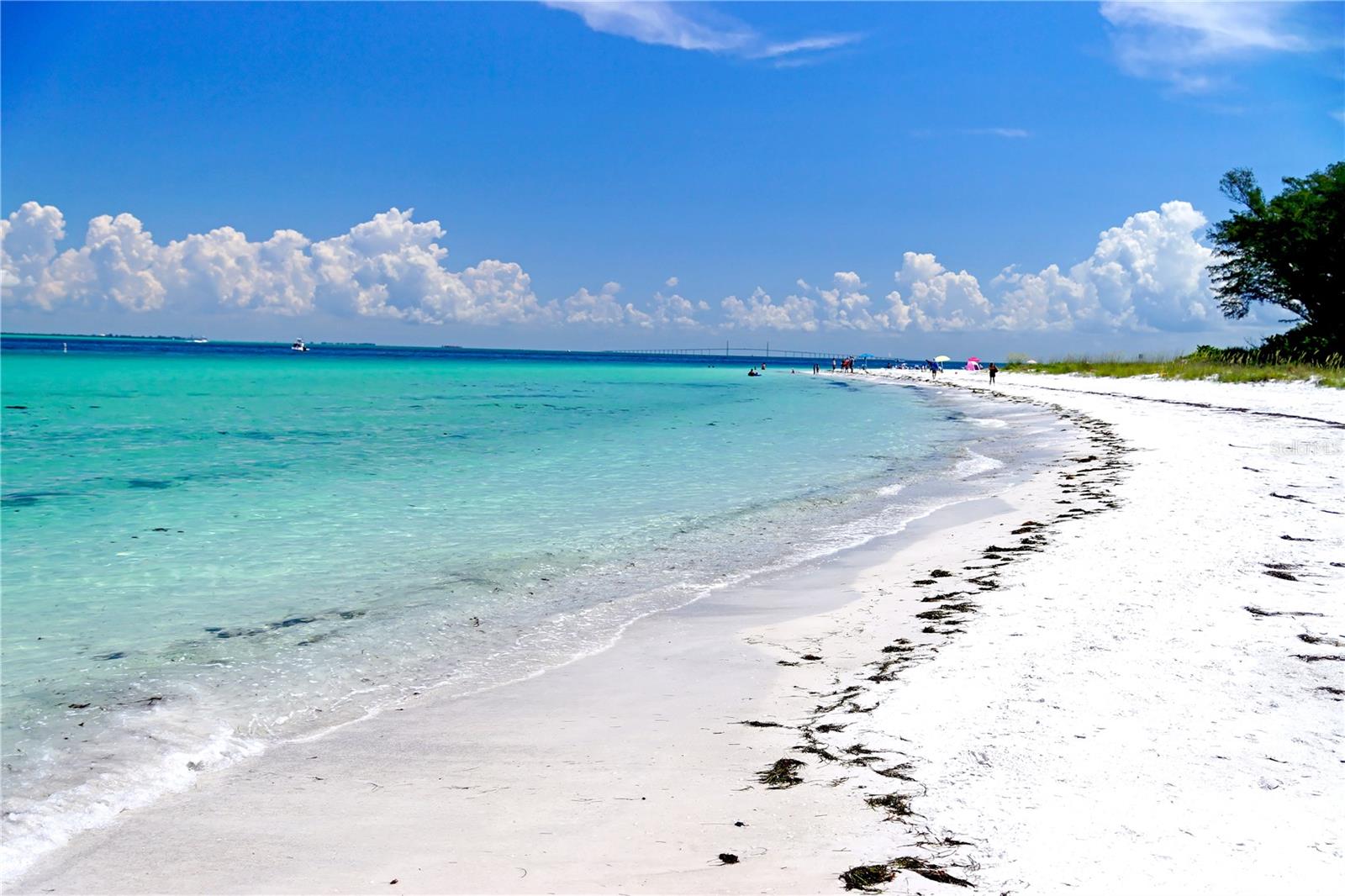 Image 55 of 56 For 4003 5th Avenue