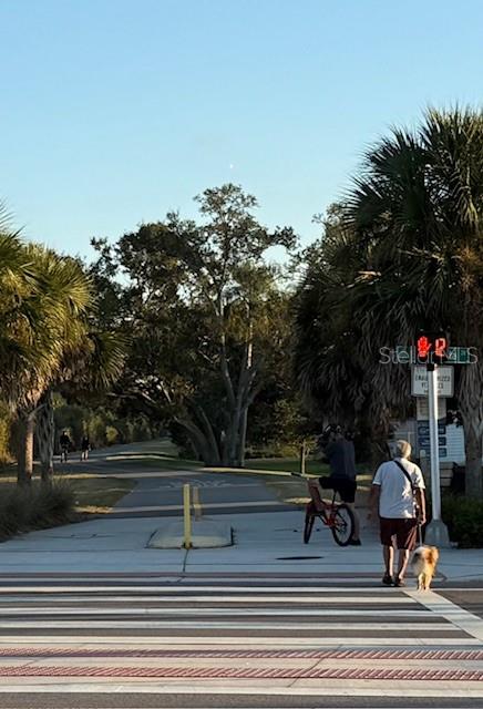 Image 49 of 51 For 3542 Bimini Street