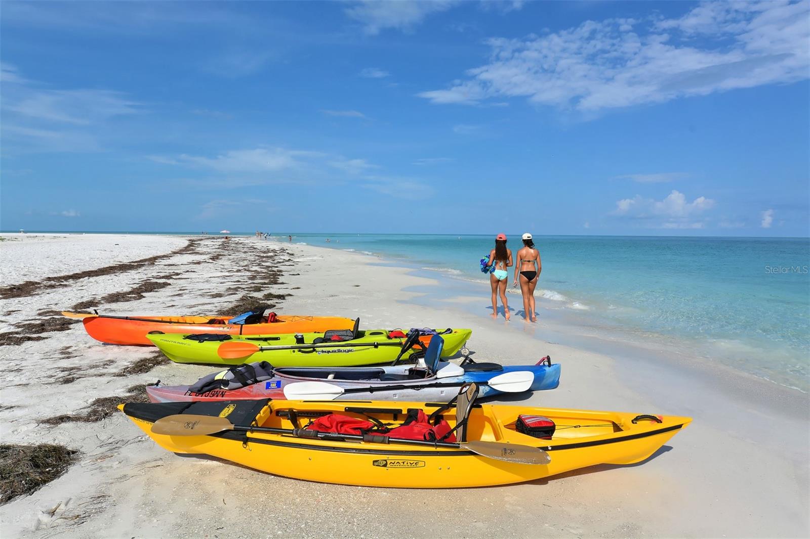 Image 50 of 51 For 3542 Bimini Street