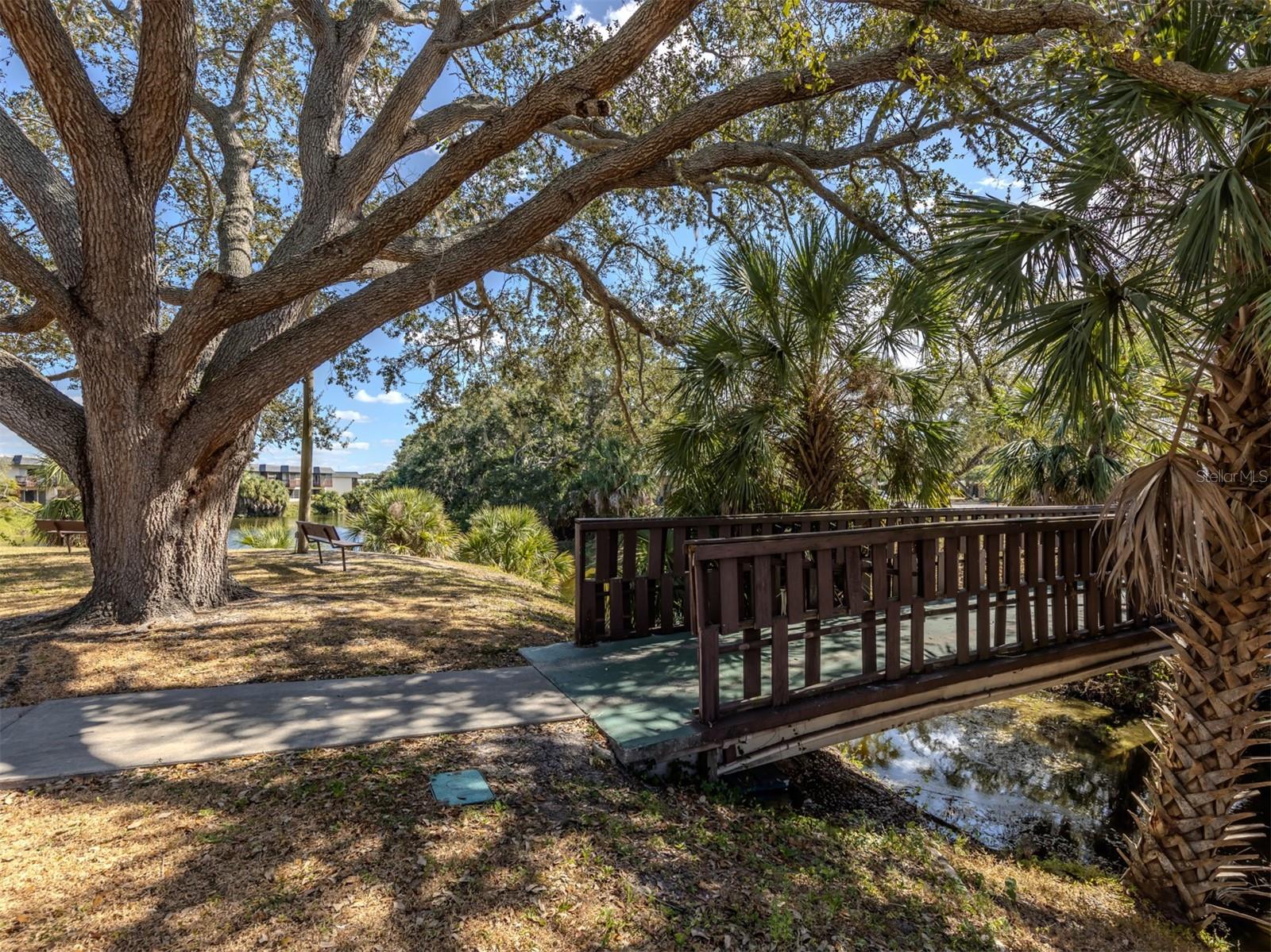 Image 30 of 66 For 3208 Ramblewood Drive N