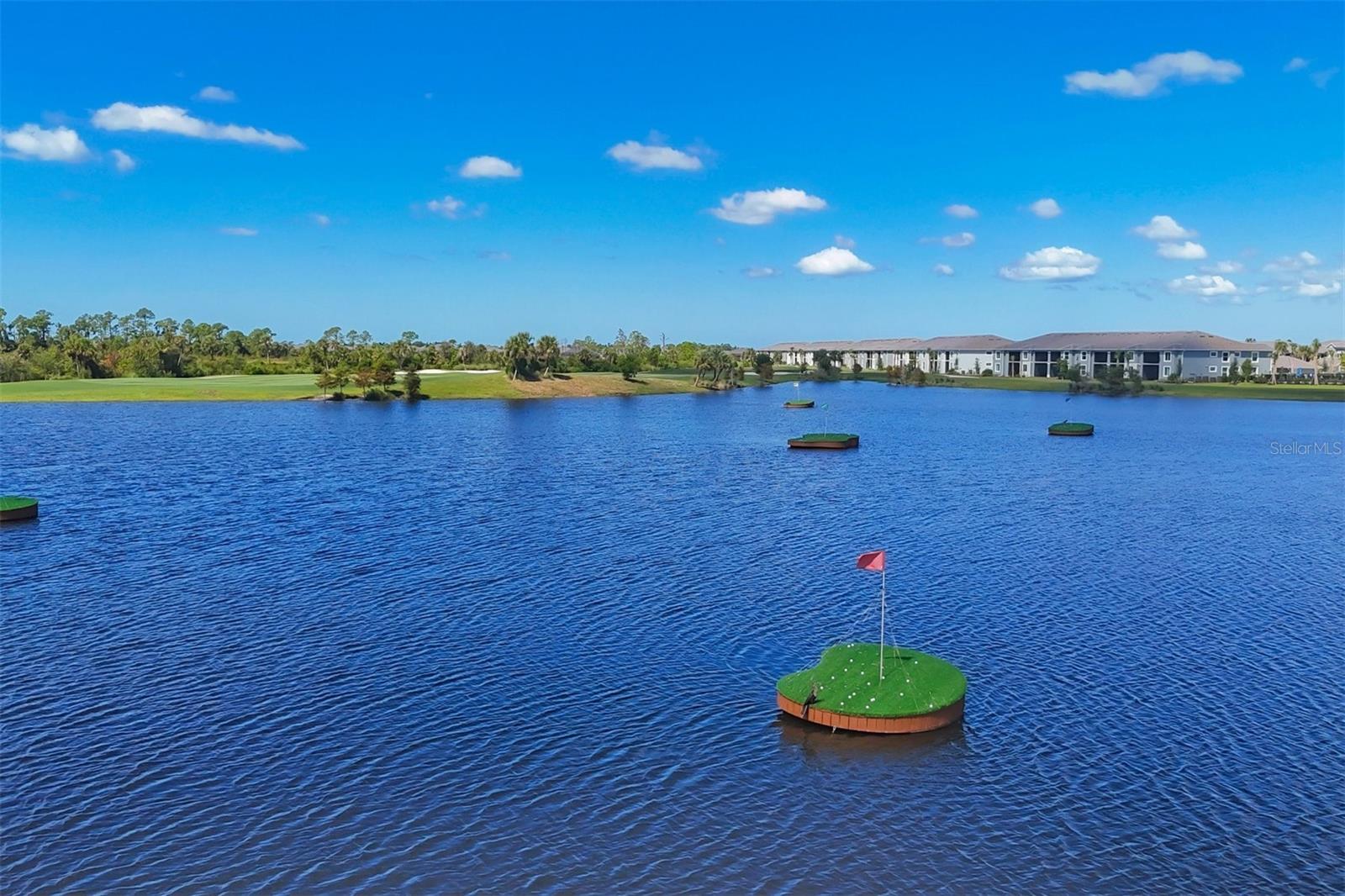 Image 53 of 86 For 12520 Galapagos Court 102