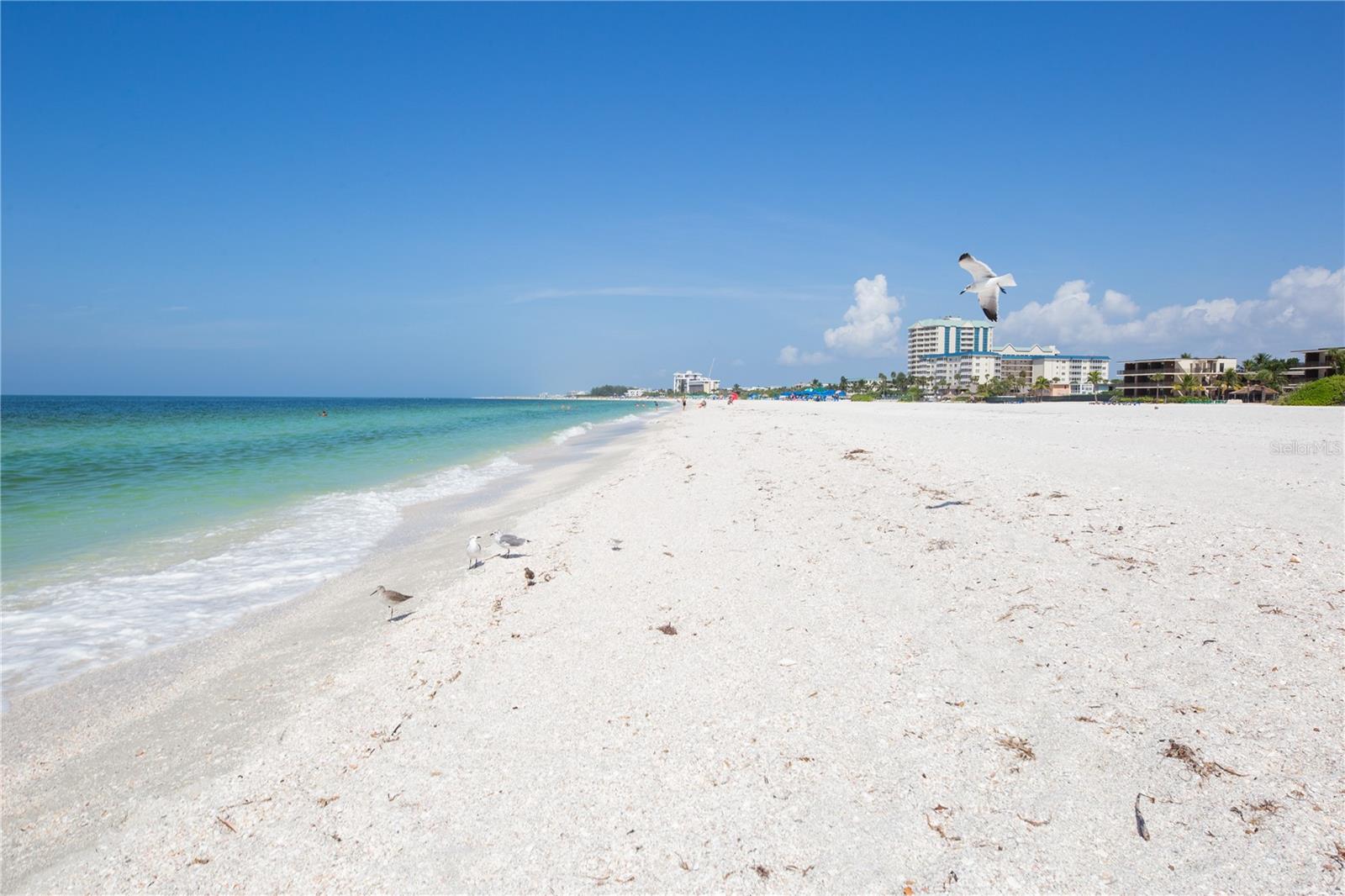 Image 40 of 46 For 1212 Benjamin Franklin Drive 508