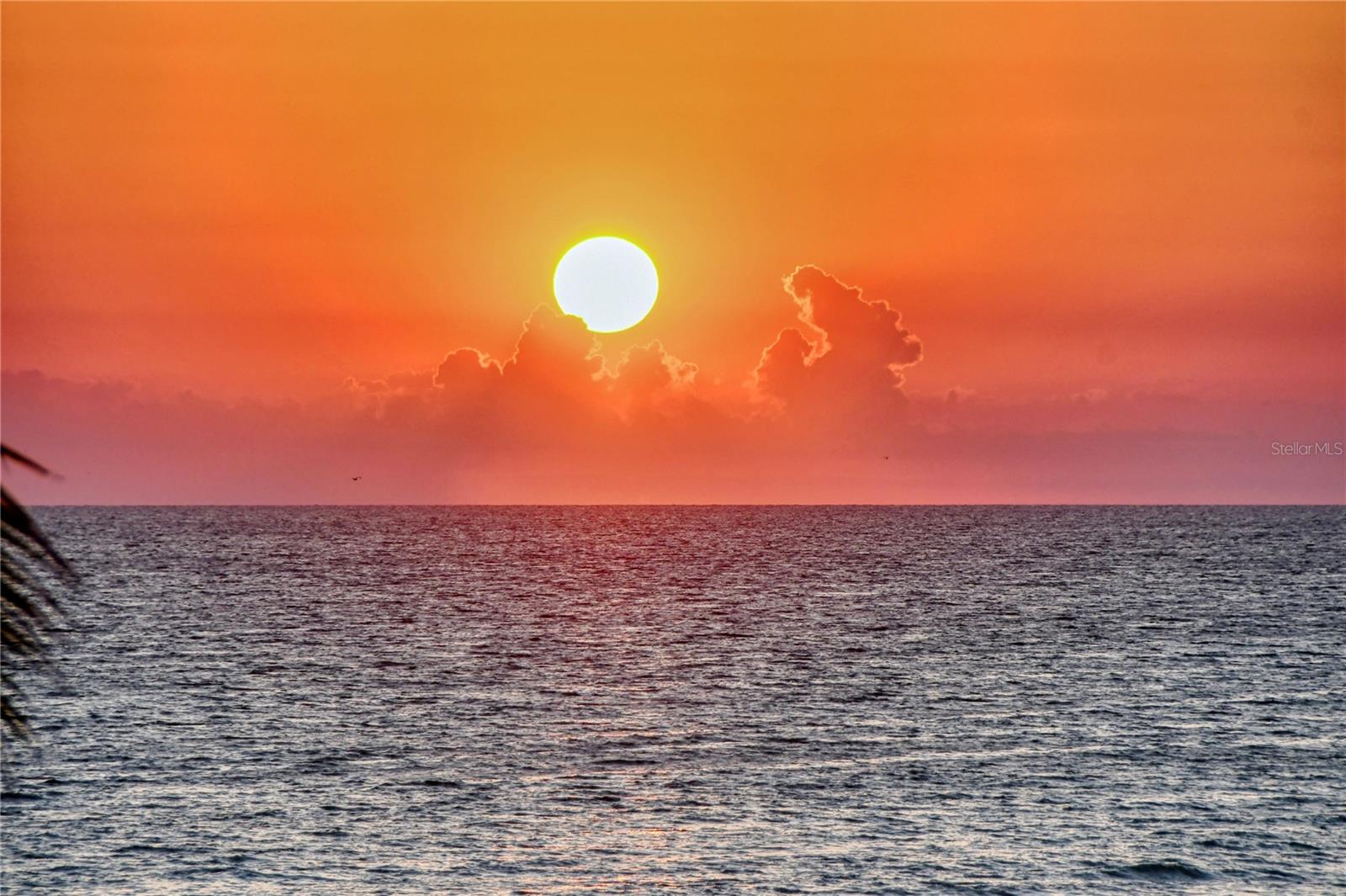 Image 52 of 60 For 415 L Ambiance Drive A801