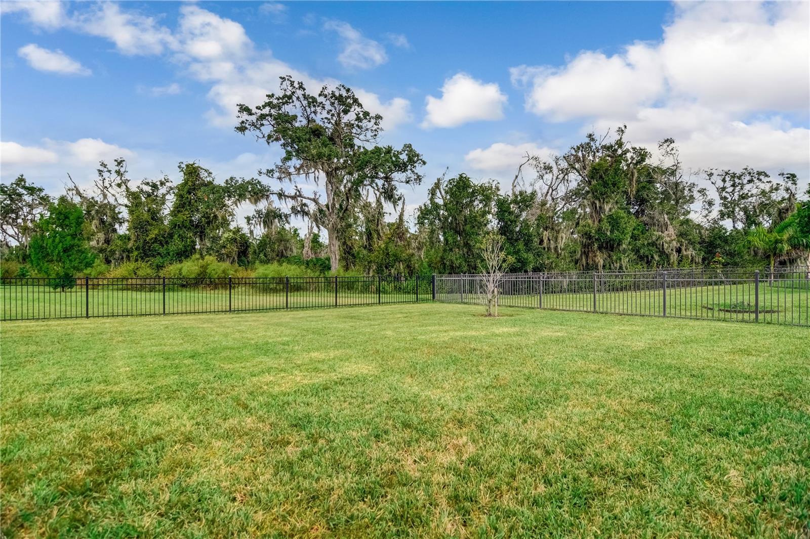 Image 41 of 95 For 10015 Marbella Drive