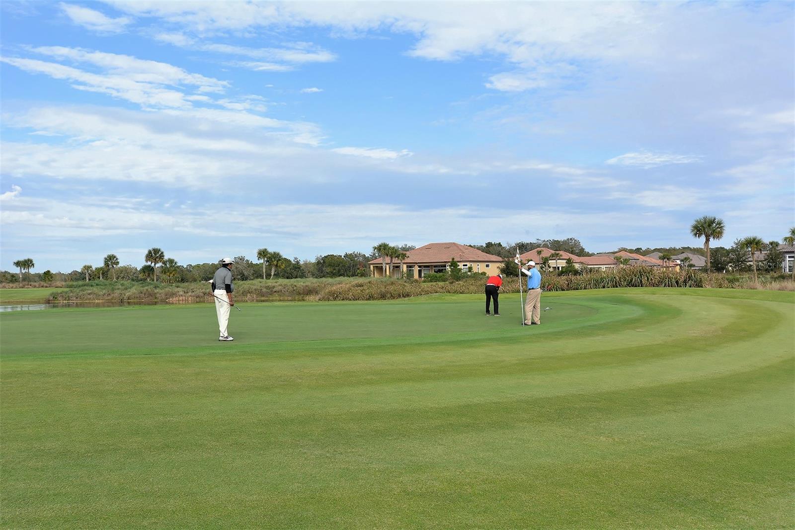 Image 90 of 97 For 13604 Messina Loop 103