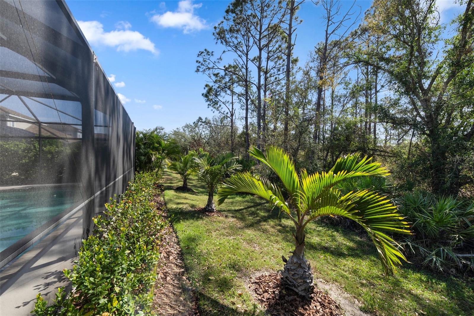 Image 32 of 54 For 11981 Hunters Creek Road