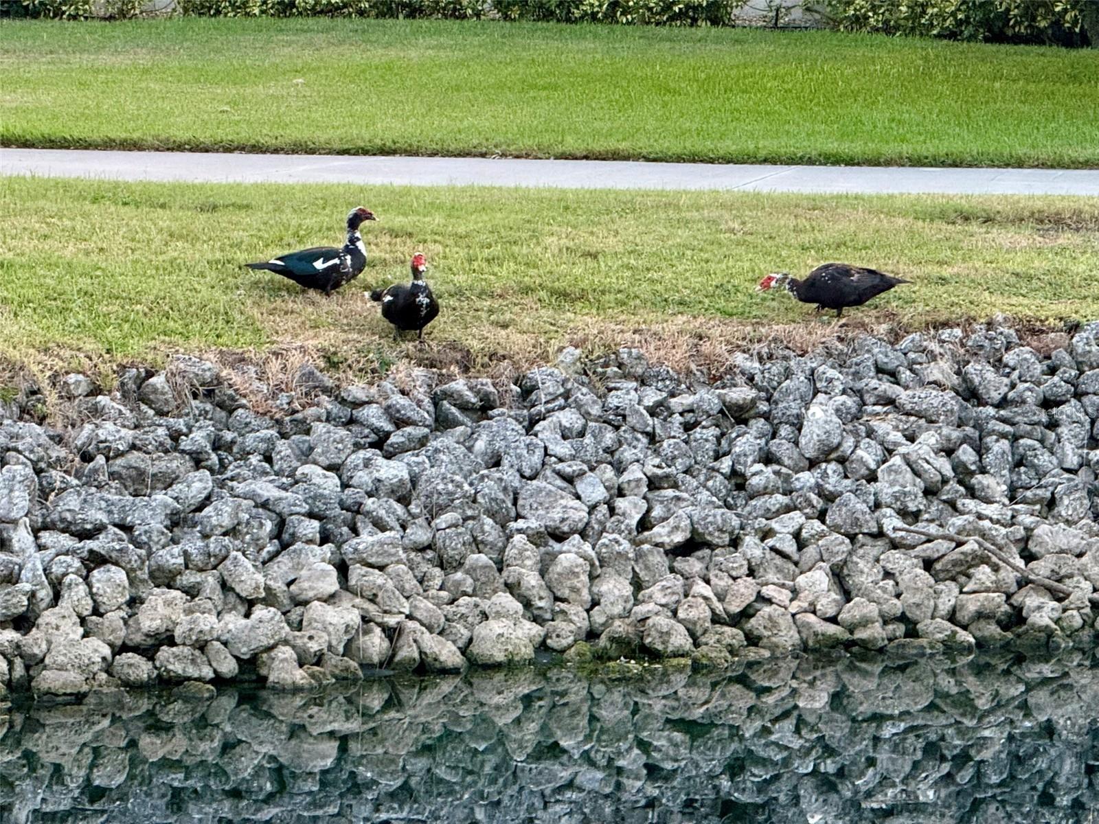 Image 47 of 48 For 4683 Winston Lane N 30