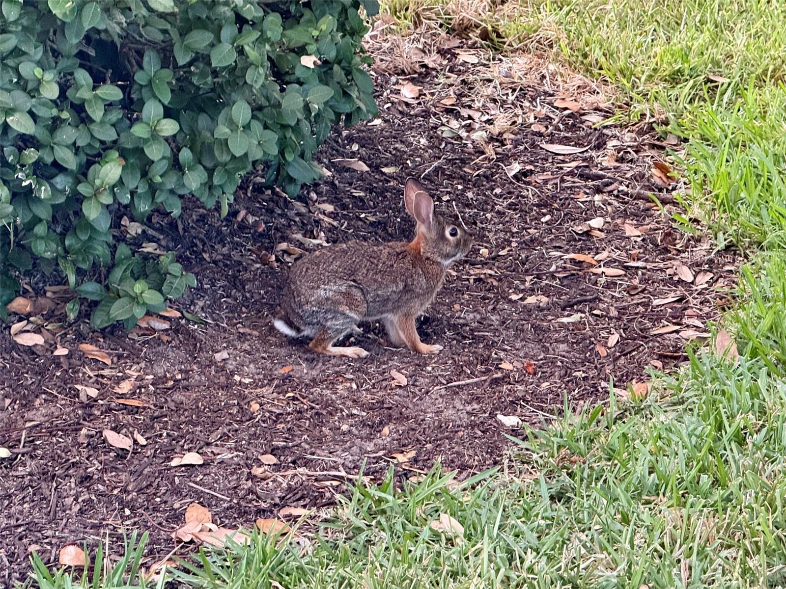 Image 59 of 59 For 4683 Winston Lane N 30