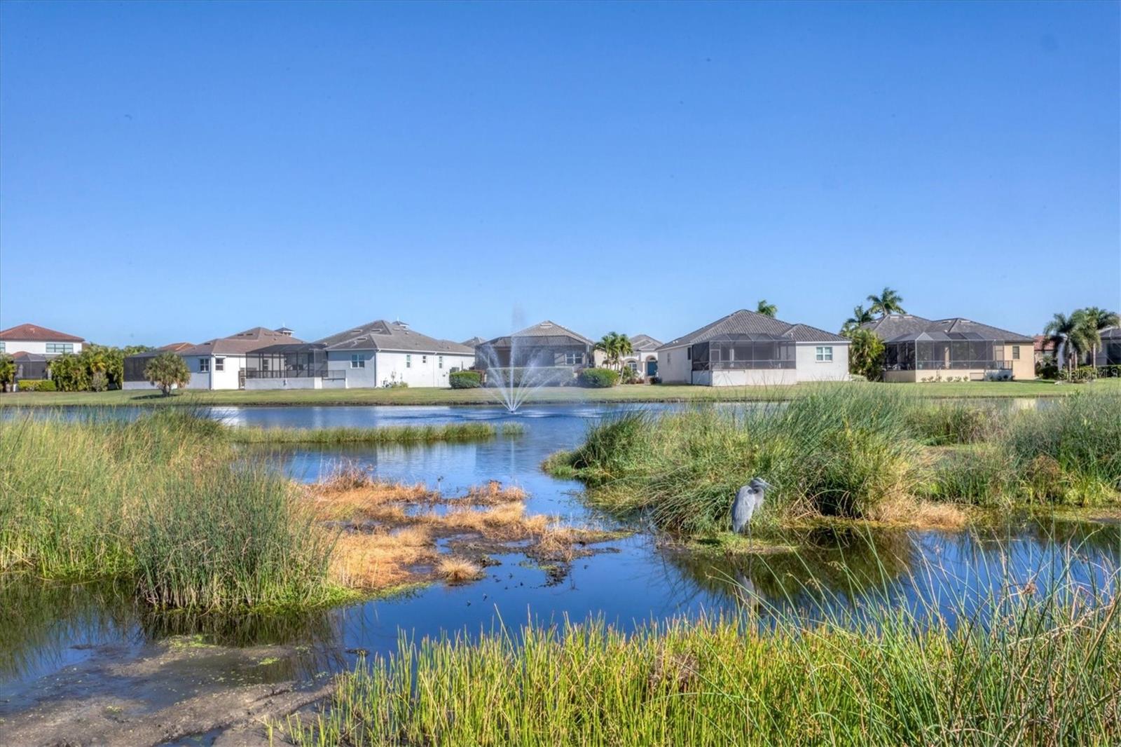 Listing photo id 43 for 6261 Champions Row Street