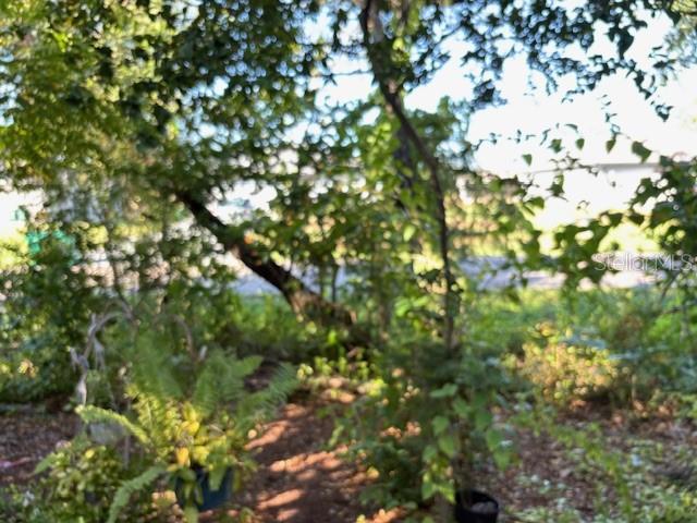 Image 12 of 20 For 22369 Blanchard Avenue