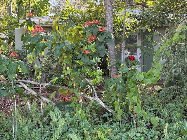 Image 20 of 20 For 22369 Blanchard Avenue