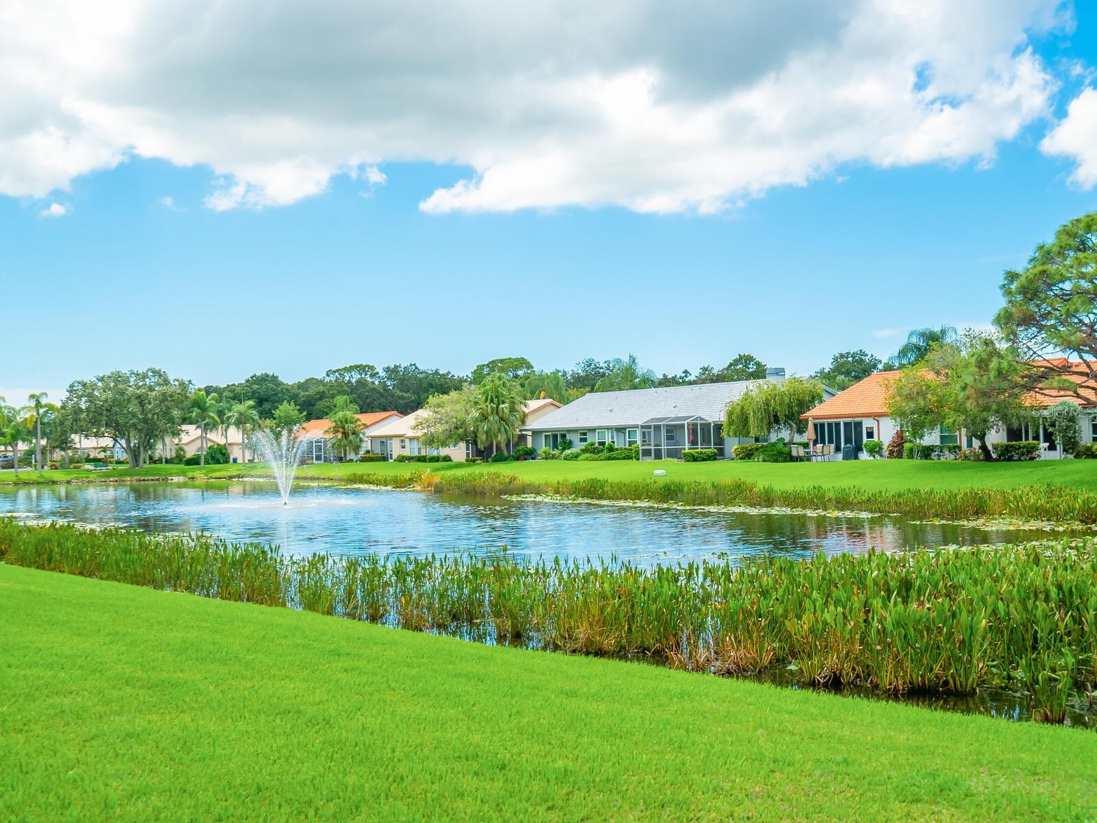 Image 34 of 49 For 4124 Rosas Avenue 3081