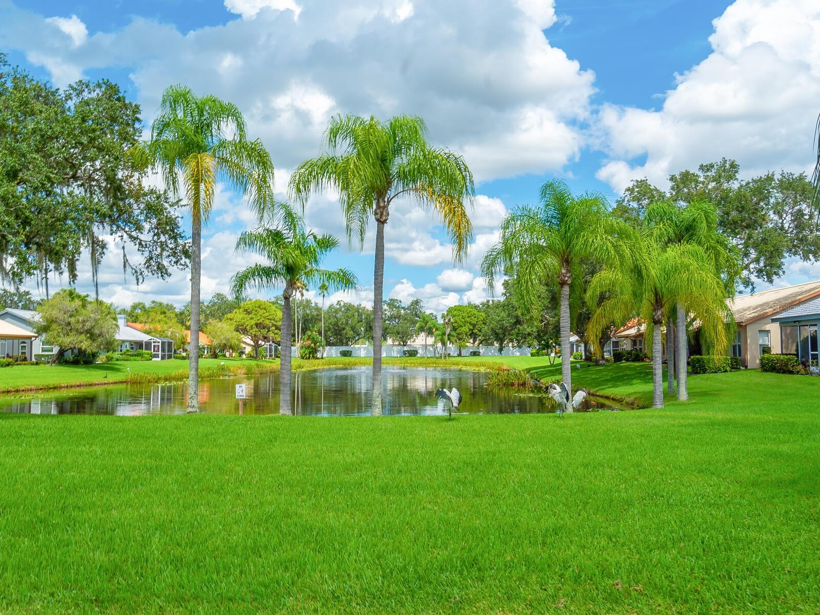 Image 49 of 49 For 4124 Rosas Avenue 3081