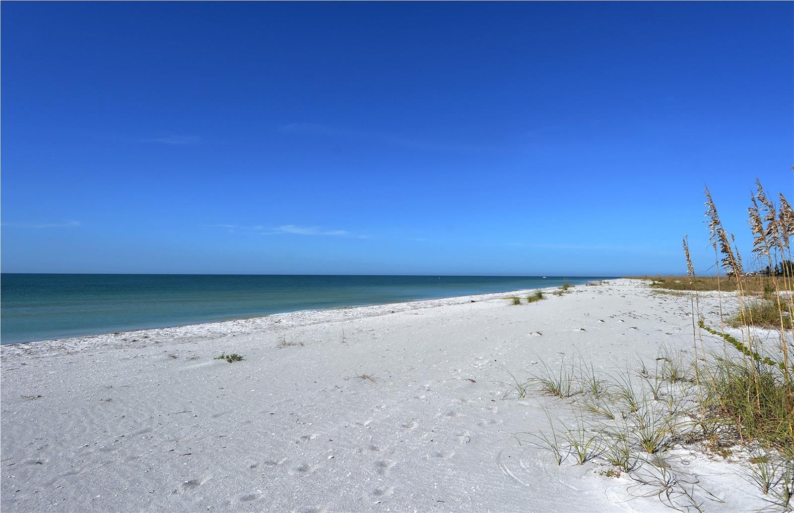 Image 50 of 52 For 6701 Gulf Of Mexico Drive 330