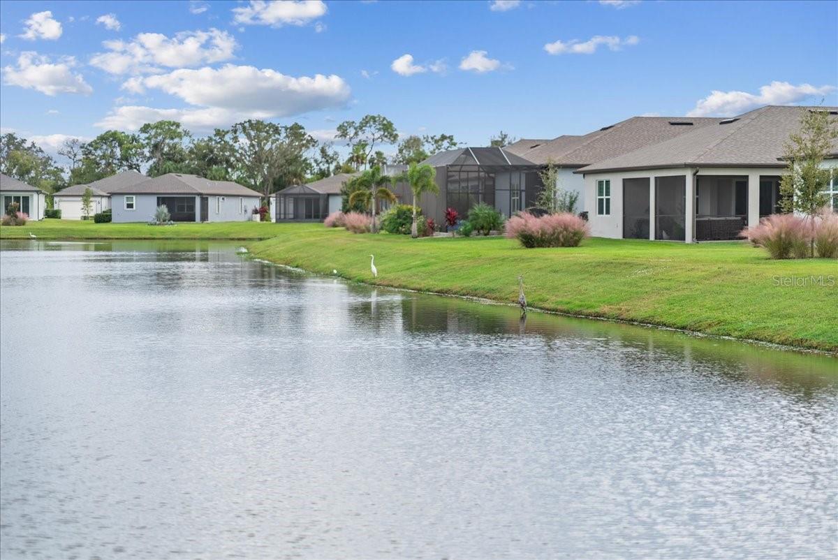 Image 62 of 68 For 9434 Ballaster Pointe Loop