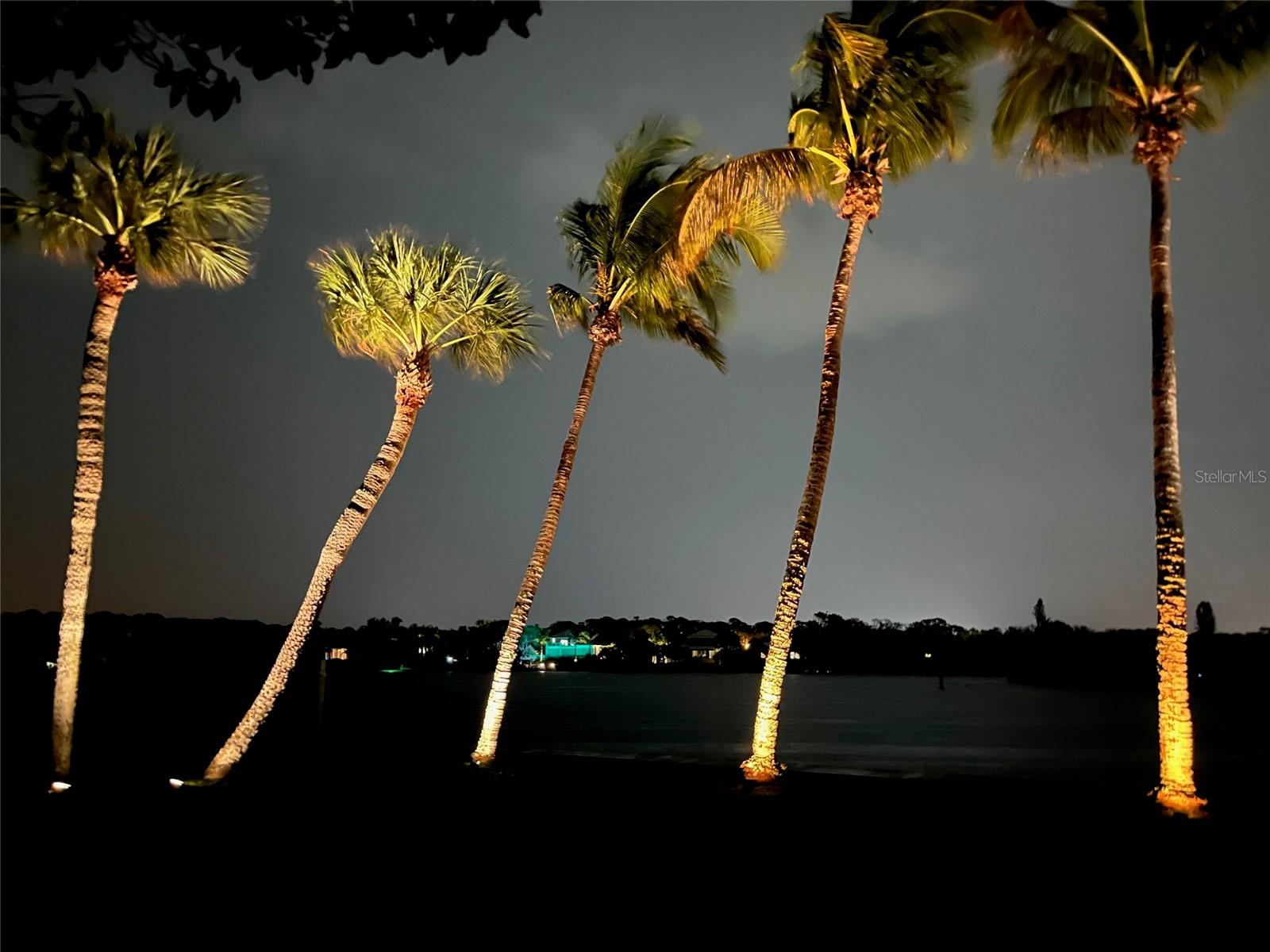 Image 55 of 61 For 929 Casey Cove Drive