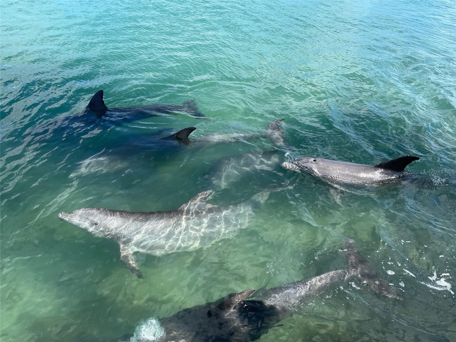 Image 57 of 61 For 929 Casey Cove Drive