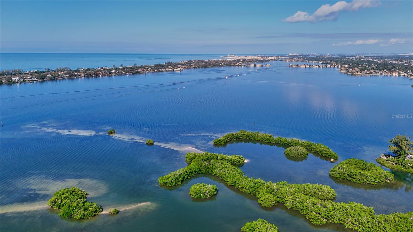 Image 62 of 64 For 1660 Livingstone Street