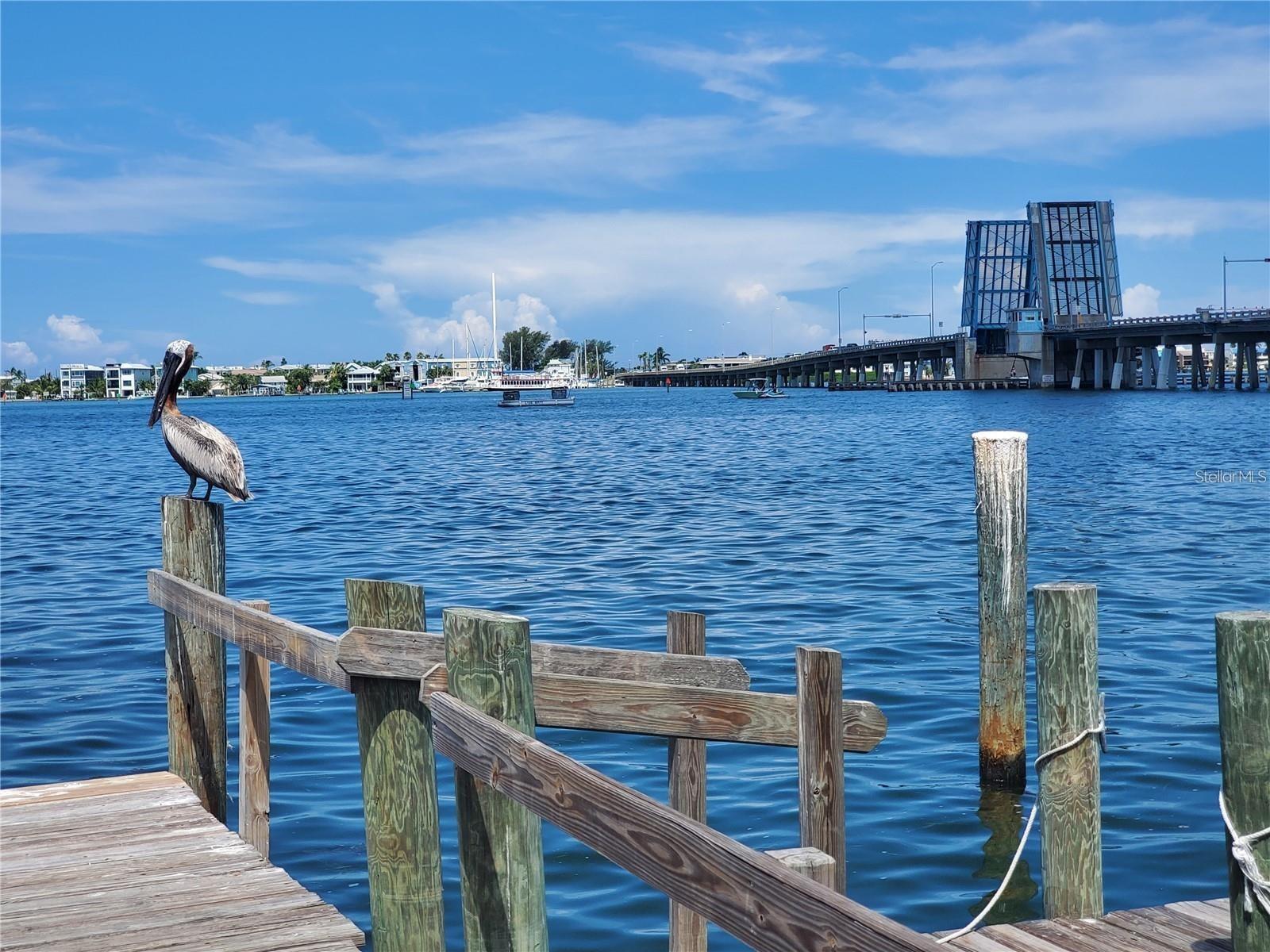 Image 48 of 50 For 6471 Seagull Drive 257