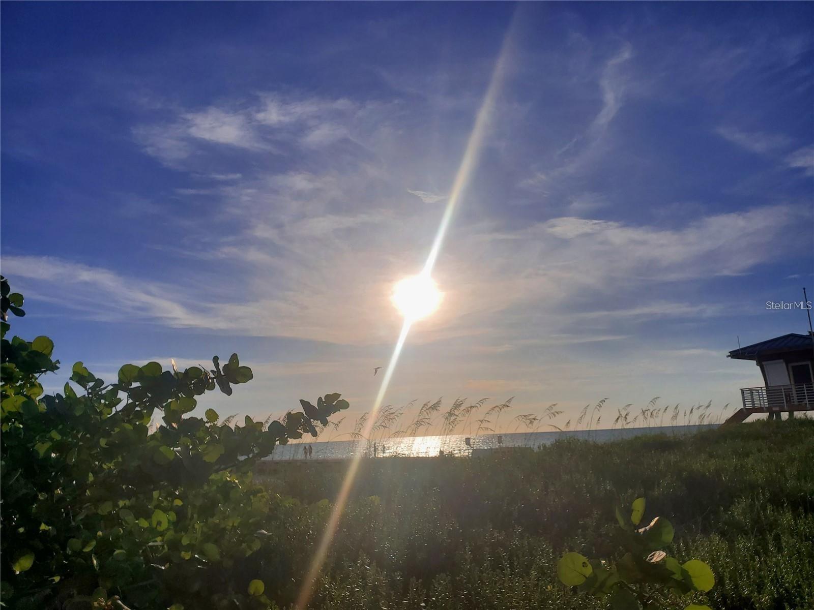 Image 49 of 50 For 6471 Seagull Drive 257