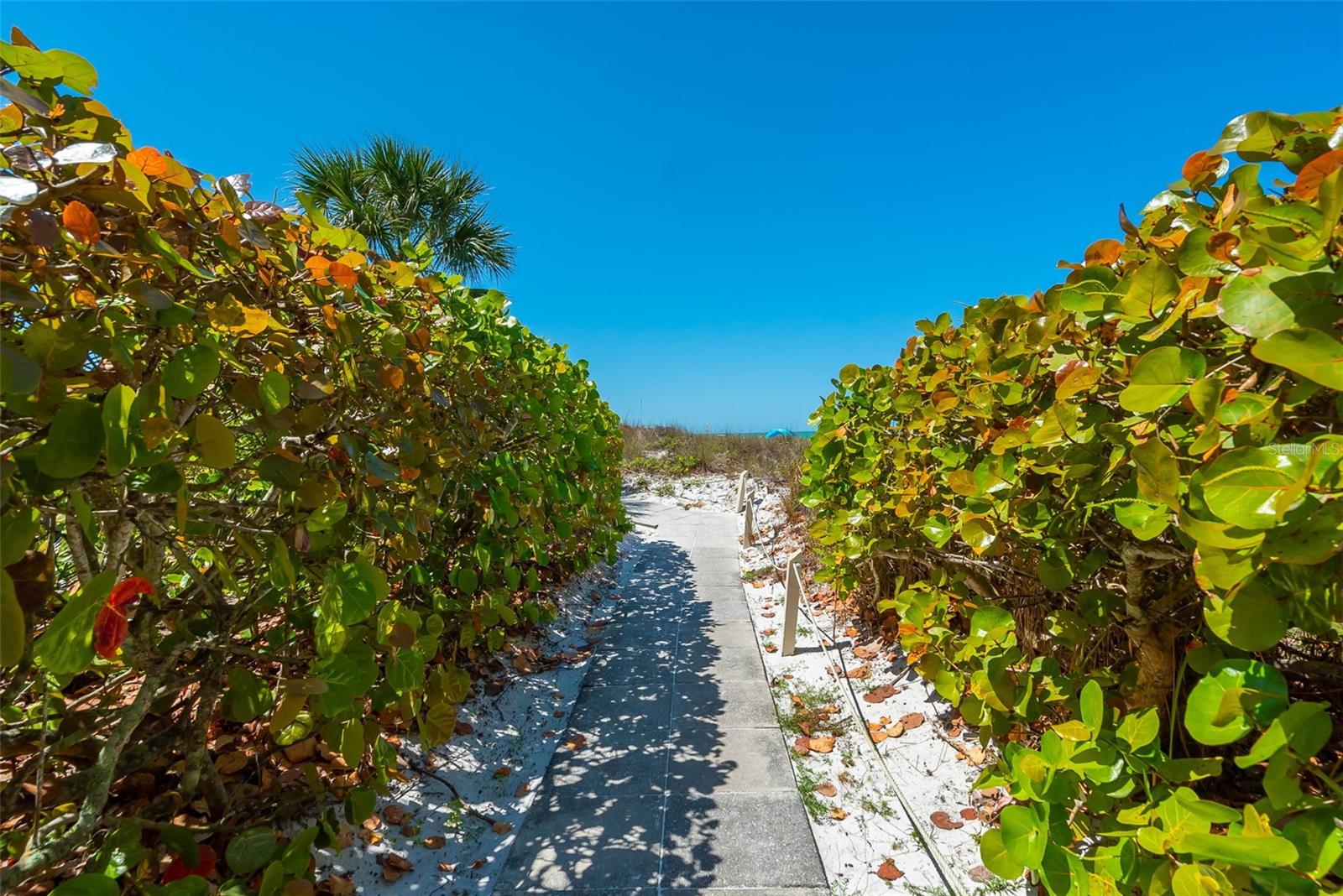 Image 54 of 63 For 6285 Midnight Pass Road 406